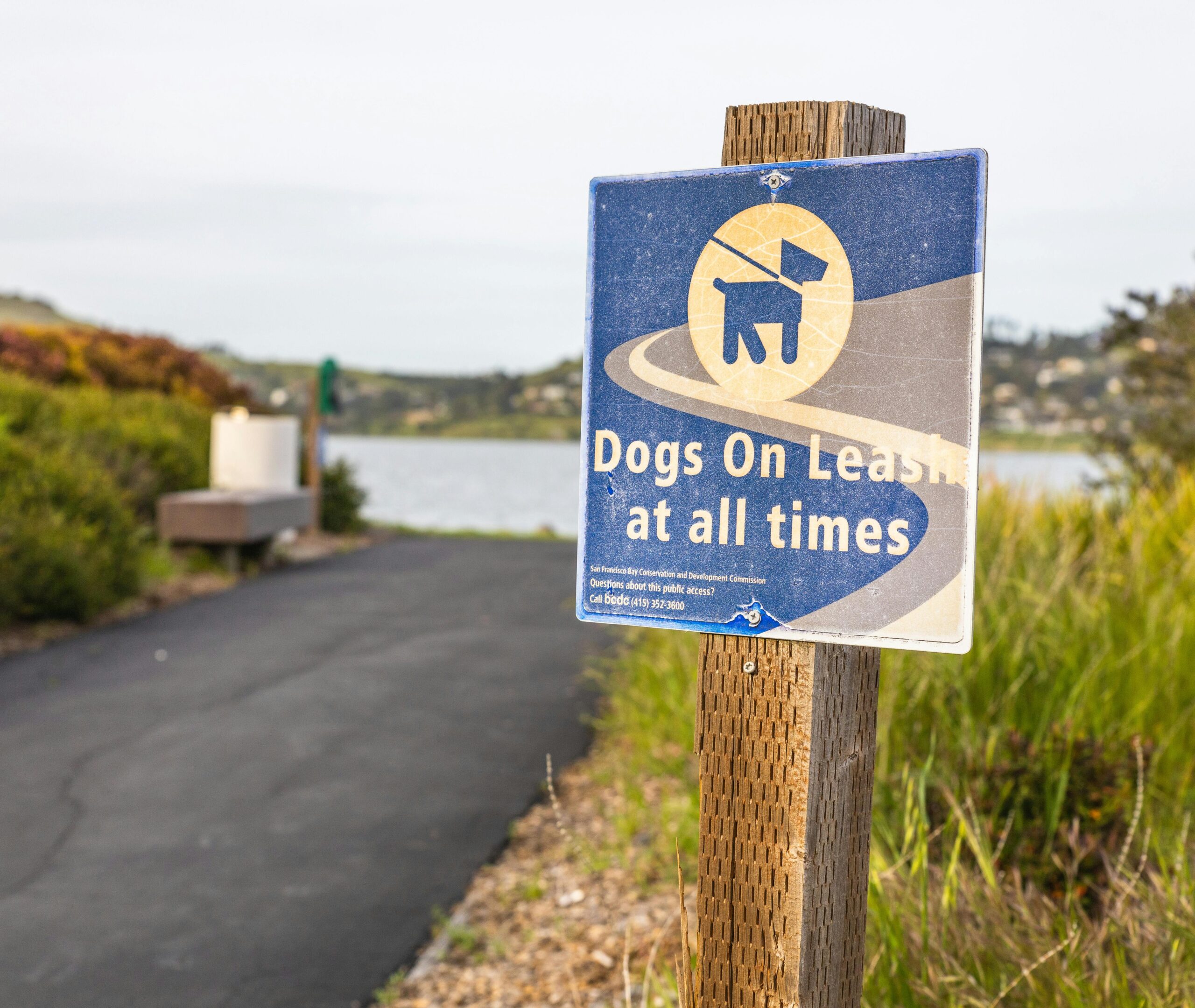 Dogs on leash sign at scenic waterfront location